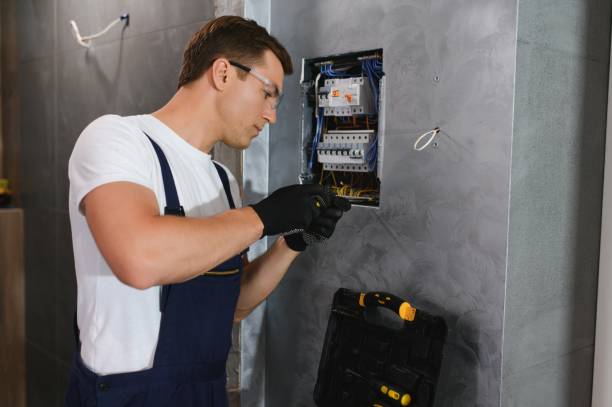 Best Electric Panel Repair  in Lake Monticello, VA